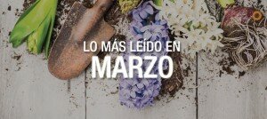 Los 5 artículos más leídos del mes de marzo